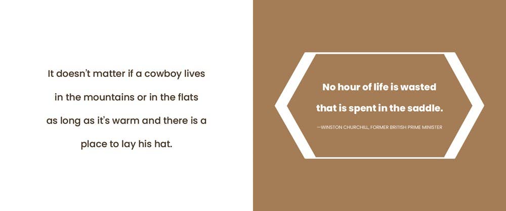 What I Know About Cowboys Book