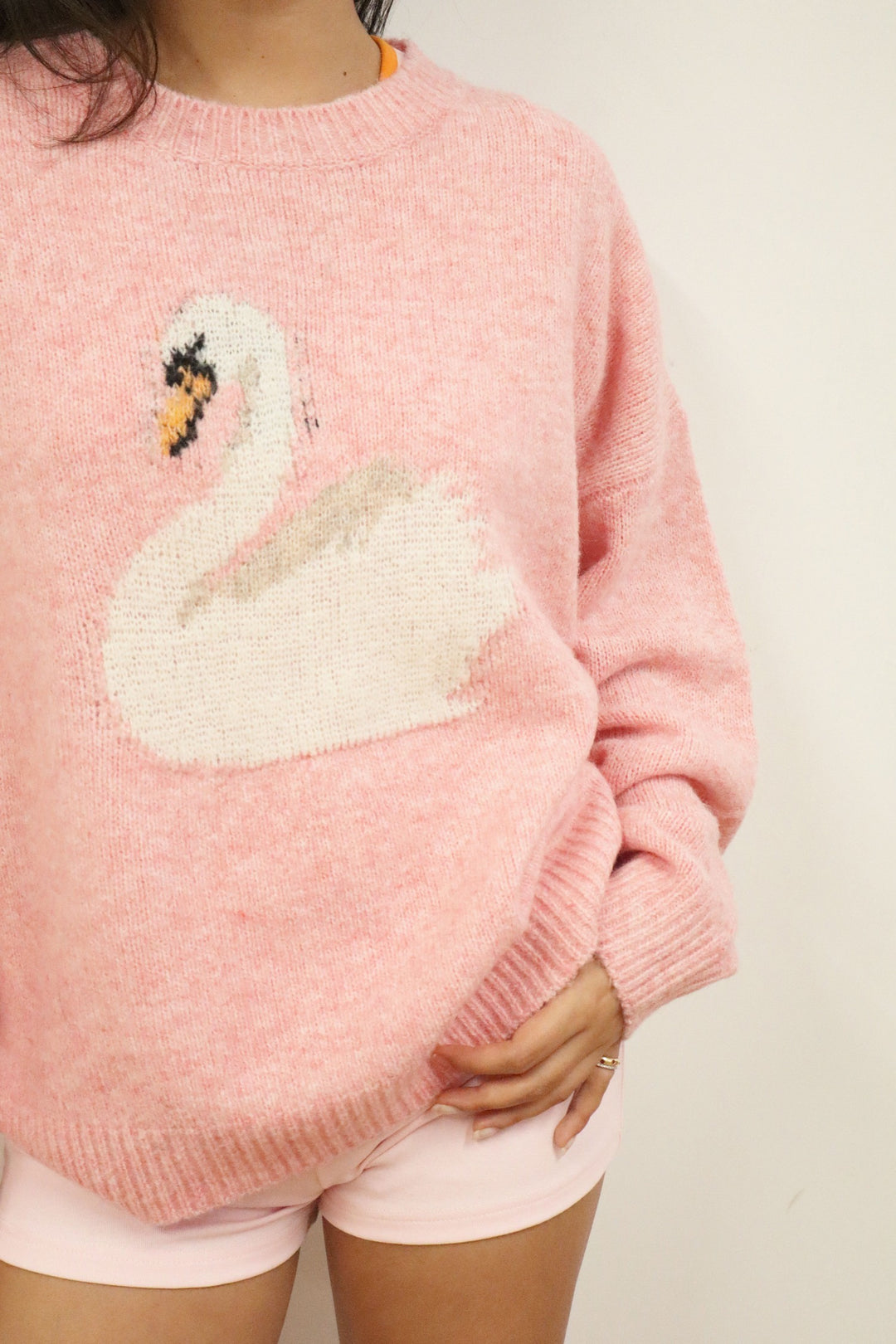 Swan Knit Sweater