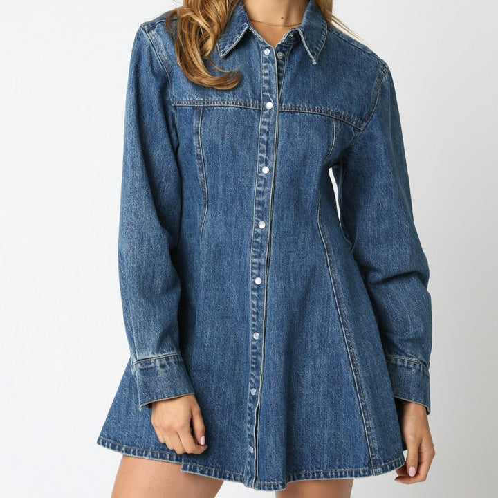Angelina Denim Button Dress