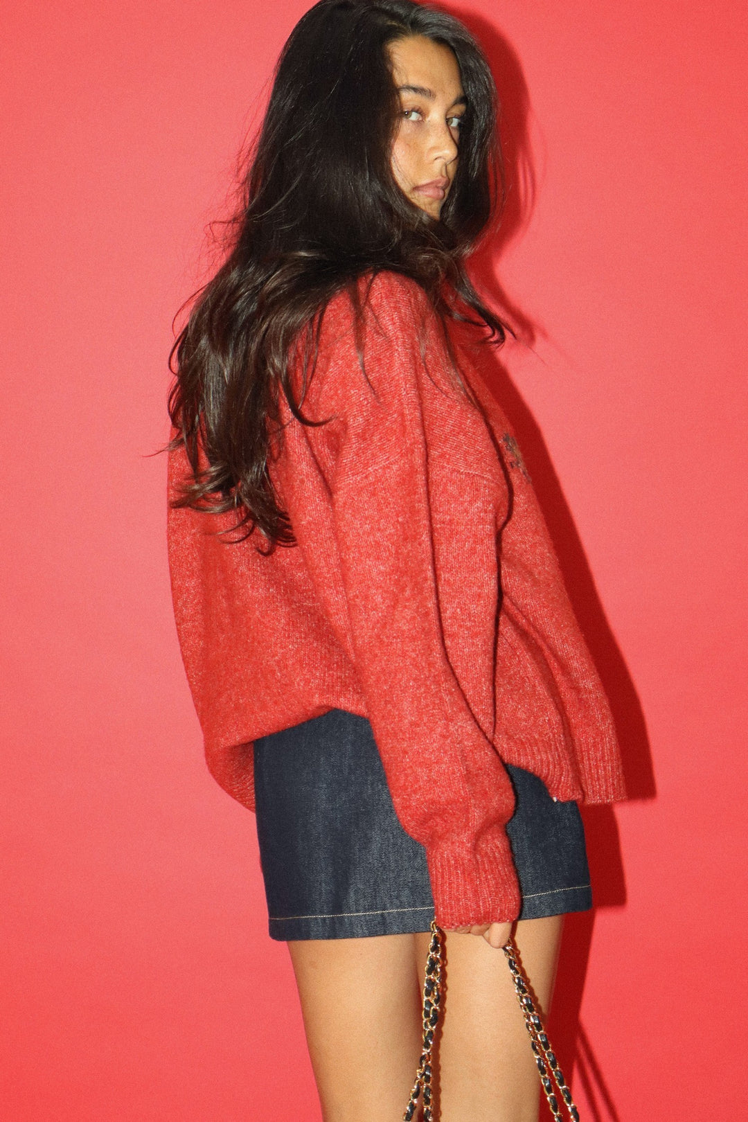 Flying Duck Knit Sweater