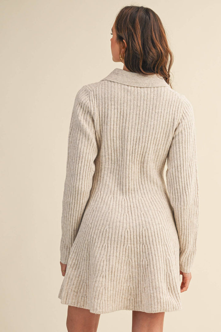 Lane Flared Sweater Mini Dress