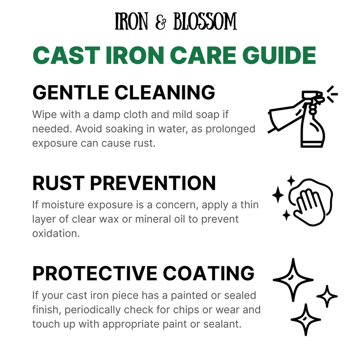 Cast Iron Horseshoe Hook