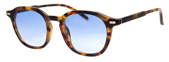 Pleasing Sunglasses