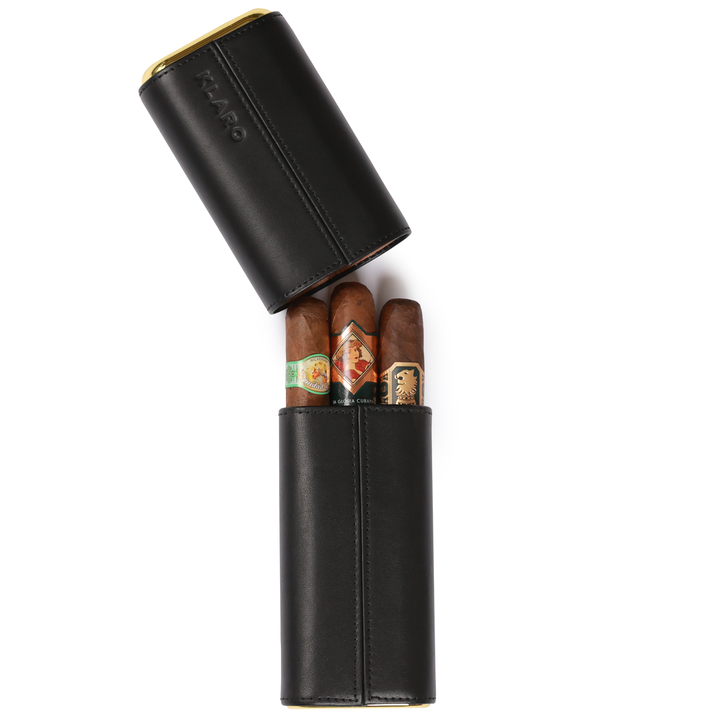 Premium 3 Cigar Black Travel Case
