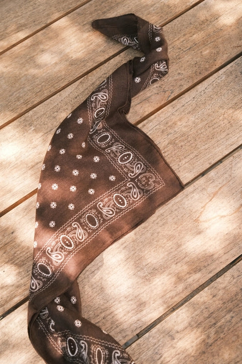 Paisley Brown Scarf