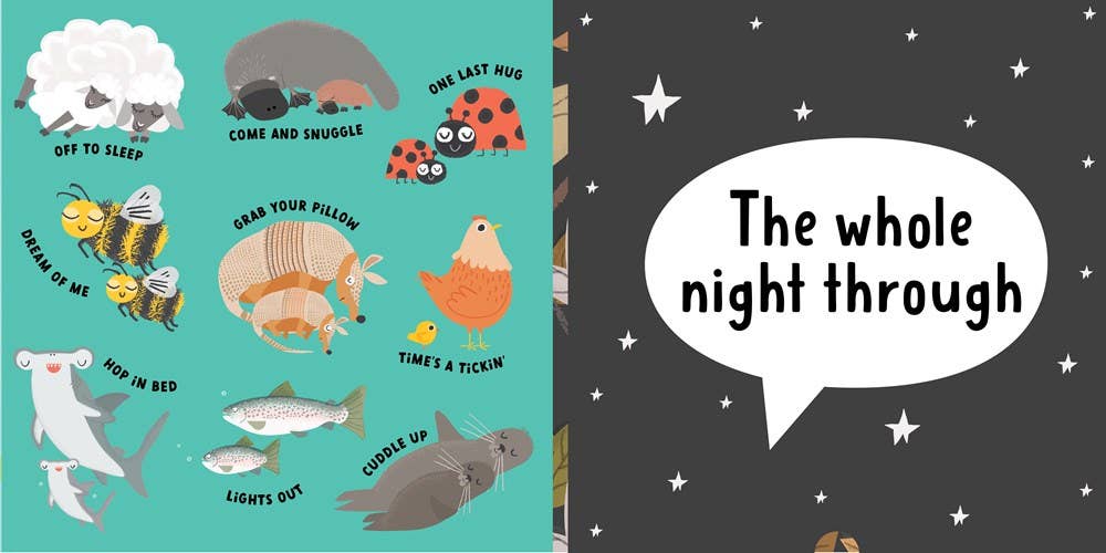 Grab Your Pillow, Armadillo Book