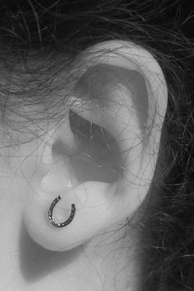 Horseshoe Gold Stud Earrings