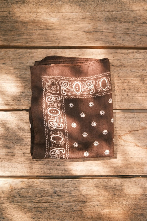 Paisley Brown Scarf