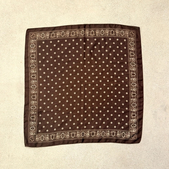 Paisley Brown Scarf