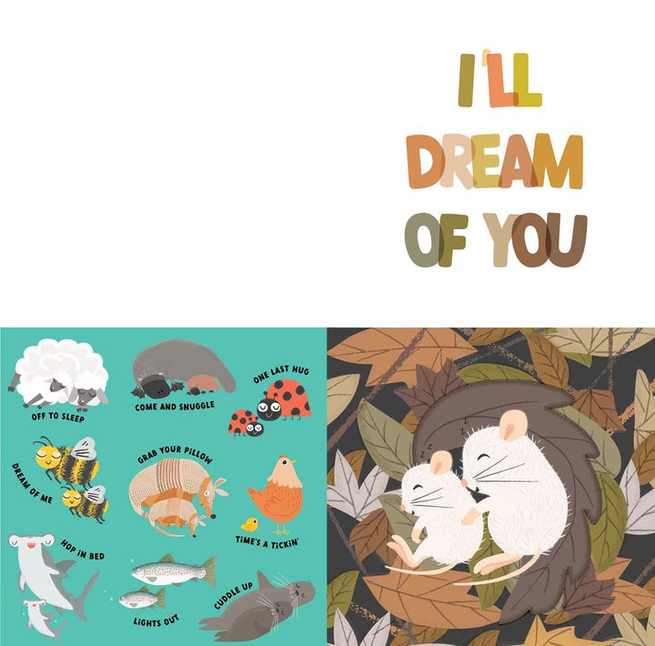 Grab Your Pillow, Armadillo Book