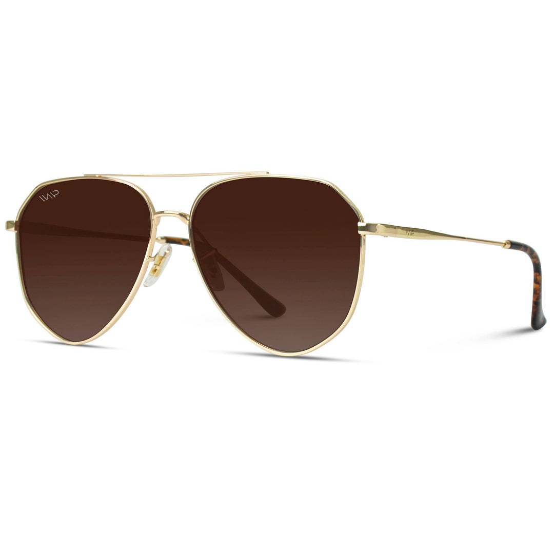 Ramsey Geometric Polarized Aviators Sunglasses