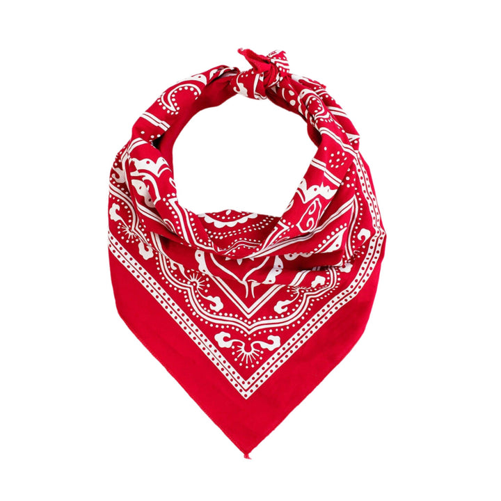 Red Western Bandana